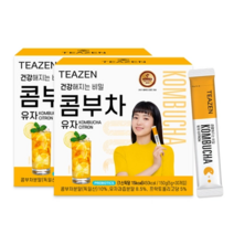 티젠 콤부차 유자 30ST x 2개
