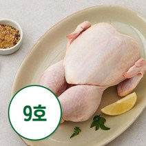 퍼스트픽 초신선 국내산 갓잡은 생닭 9호 (냉장), 1개