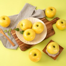 시나노골드황금사과사과사과 싸게파는곳 검색결과