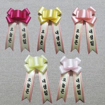 강아지화환 오늘은내생일 아기돌 백일 축하 미니화환 문구 리본 개업 인간화환, 1. 레트로