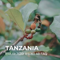 [생두] 탄자니아 기고마 세렝게티 AB FAQ 1kg