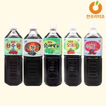 석류액 복분자액 오미자액 매실액 산수유액 블루베리 (엑기스액기스액상)