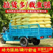 삼륜 전기 스쿠터 오토바이 세발 3륜 전기차 바이크 국가 표준 전기 세발 자전거 당기는 상품 농업 삼륜 배터리 자동차 등산 부하 삼륜 전기 자동차 0, 마운틴 버전 1.8x1.1 클라이밍 기어 2000, 60v