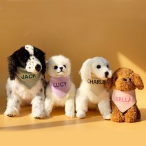 유앤펫 강아지 고양이 순면 네이밍 자수 커스텀 스카프 케이프, 그린(이모티콘1000원)