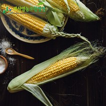 괴산농장 원조 생 냉동 찐냉동 옥수수 초당옥수수 21개 30개, 찐냉동 대학찰, 상품 찐 냉동대학찰15개 16cm전후