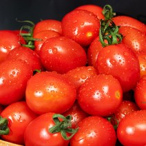 전남 국내산 대추방울토마토 2-5kg (2~4번과), 02_대추방울토마토 2kg3번(중과)