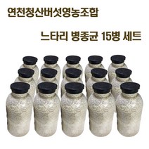 느타리버섯 종균 재배 버섯 키우기 노랑 흑색 흰색 칡느타리 원목재배 15병 세트, 흰색느타리 병종균 15병