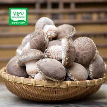 [생산자직송] 초정 무농약 송화고버섯 700g/1kg(혼합), 송화고(혼합)700g