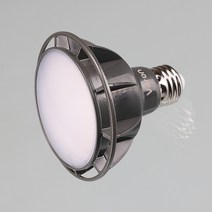 비츠온 PAR30 LED 15W 확산형 주광색 주백색 전구색