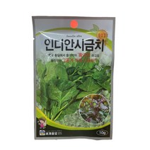 인디안시금치 씨앗 10g [23년포장] 황궁채 종자
