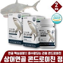 성인 필수 콘드로이틴 산화마그네슘 비타민D3 콘드로이친정 콘드리친 콘드레이친 콘드라이친 뮤코다당단백 상어 연골 건강 식품 햇빛비타민 히알루론산 초록잎홍합 보수엘리아