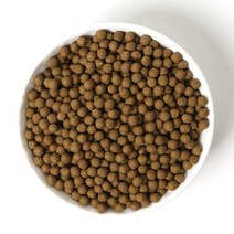 케이웰니스 양배추 환 1.2kg 동결건조 양배추 분말 사용 건강 환, 단품, 단품