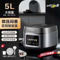 1인용 미니 밥솥 다용도 국밥솥 원룸 자취 한달살기 저당 2인용 소형 이유식 캠핑, 5L 블랙