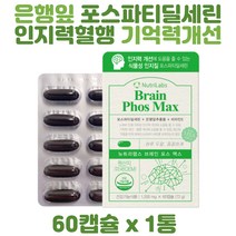 뉴트리랩스 포스파티딜세린 은행잎영양제 인지력개선 포스파티딜세린영양제 식물성 인지질 혈행 기억력개선 40대 50대 60대 은행잎추출물 혈행개선 비타민E 기억력영양제 홍삼, 1개, 60정, 60정