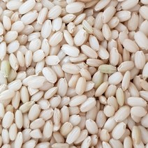 부안 햇 찹쌀 2022년 햅쌀 찰현미 찹쌀현미 당일도정 10kg 20kg, 찹쌀현미 20kg