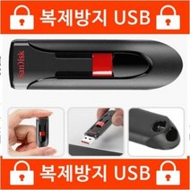 복제방지USB 256GB-노카피 노복제 복사방지(샌디스크Z60)
