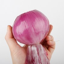 내고향푸드 국내산 조선양파와 자색양파, 자색양파_소(1.5kg)