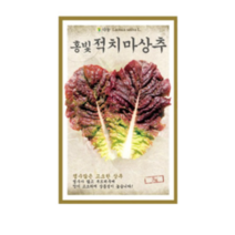 다농 홍빛적치마상추씨앗, 5개
