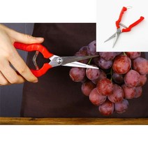 원예 전지가위 21cm 잔디가위 가든용품 소나무가지치기 하우스자재 전지용가위 꽃꽂이가위 원예공구 농사용품 정