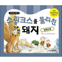 스핑크스를 물리친 돼지 : 입체 도형, 내인생의책, 돼지학교 수학