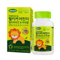 웰키커 어린이 멀티비타민 앤 미네랄 90정x 3개, 상세내용참조, 상세내용참조