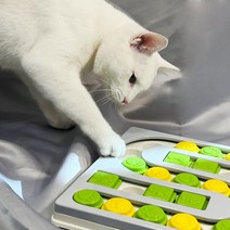 멍냥이노리터 고양이먹이퍼즐 강아지 고양이 먹이퍼즐 노즈워크 먹이 간식 두뇌개발 퍼즐 장난감, 파랑+연두