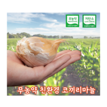 [국내산/국산] 코끼리마늘 대왕마늘 1kg 2kg 쪼갠마늘 무농약 저탄소 햇 대왕 마늘 코끼리 토종마늘 토종 깐마늘 깐 식용 종자 씨마늘, 500g(식용/종자용)