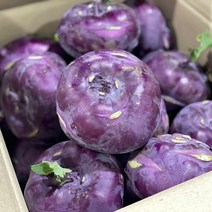 국내산 제주도 콜라비 햇콜라비 적콜라비, 제주 콜라비3kg