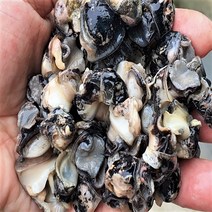 지리산 하동우렁이 왕우렁이 우렁살 우렁쌈밥 1kg, 1개
