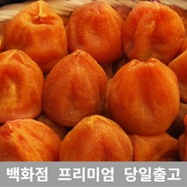 건과일 채소 (특등급) 오늘출고 반건시3KG 곶감 반건시 건곶감 감 [WBB614D], 쿠팡 3KG, 쿠팡 본상품선택