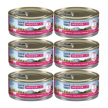 내추럴발란스 캣캔 LID 캔 인도어 연어 병아리콩 156g 6입, 내추럴발란스 캣캔 인도어 연어