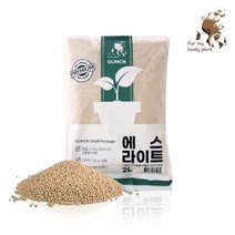 에스라이트 2L 소포장 선인장 다육이 분갈이 화분마감, 대립