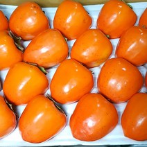 (용이다팜) 국내산 대봉감 10kg, 대봉감 10kg 20-30과