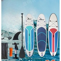 포일보드 SUP 수상 패들보드 스포츠 서핑, B