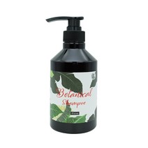 에이썸 보태니컬 사춘기 청소년 샴푸 500ml 정수리냄새 비듬 케어 전문, 1개
