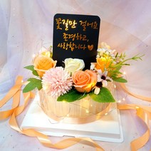 민트퐁퐁 완제품 반전 돈케이크 용돈박스 투명케이스 포함, 3. 피치(기본)