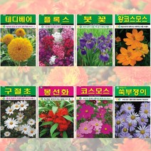 [5봉구매시+1봉] 꽃씨 모음 / 노지 월동 야생화 다년생 채송화 패랭이 다알리아 해바라기 봄 꽃 씨앗 종자, A.고급꽃씨앗, 화이트코스모스200립