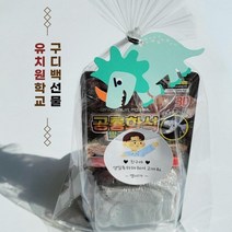 공룡화석발굴키트 구디백