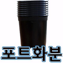 순희농장 비닐검정포트 포트화분 모종포트, 장포트(500개)