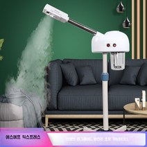 얼굴 안면 스티머 피부 스팀기 피부샵 미용실 증기 온열 냉열, 단일 튜브  열 스프레이