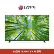 LG전자 75인치 4K UHD TV AI ThinQ 에너지효율 1등급, 스탠드