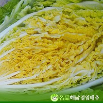 (산지직송 해수절임) 명품 해남 김장절임배추 해수절임배추 해남절임배추 20kg, 11월29일(화)도착