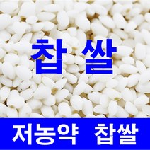 22년산/저농약/찹쌀5kg//10kg 강화섬쌀 당일도정 따끈따끈햅쌀출시!!, 22년저농약/찹쌀5kg, 1
