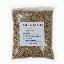 지리산 생 홍화씨 홍아씨 국내산