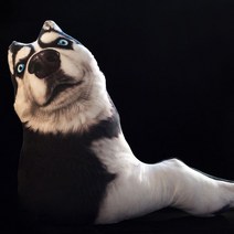 허스키모양 베개 쿠션 강아지 사무실 허리쿠션 봉제인형, 눈부신 모델, 50cm