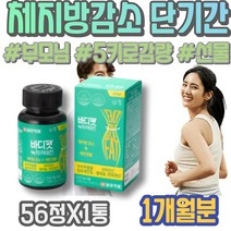 부모님 카테킨 어르신선물 인터벌트레이닝 순환운동 5키로감량 상견례선물 윗배 코스트코 허벅지살빼는법 남성 뱃살빼는법 피하지방감소 허리둘레 어르신 녹차카테킨 3일 키토제닉 군살 여자
