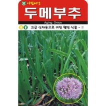 AR 두메부추 웰빙 식물 씨앗 100flq
