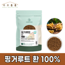 핑거루트 환 인도네이사 핑거루투 건강한 판투라틴 수수홈홈사은품, 1개, 500g