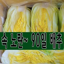 속 노란 90일 배추 괴산 절임배추 20kg (7-9포기) 도착일을 선택해주세요., 도착일 11월 12일
