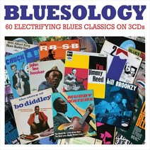 (수입3CD) V.A - Bluesology (블루스 명곡 모음집) (Digipack), 단품
